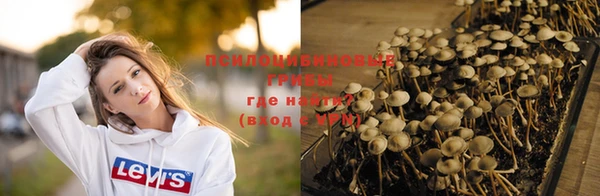 спиды Алексеевка