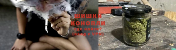 ПСИЛОЦИБИНОВЫЕ ГРИБЫ Алексин