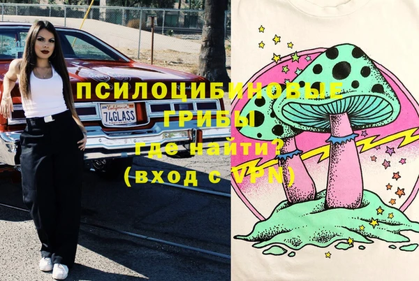 стафф Алзамай