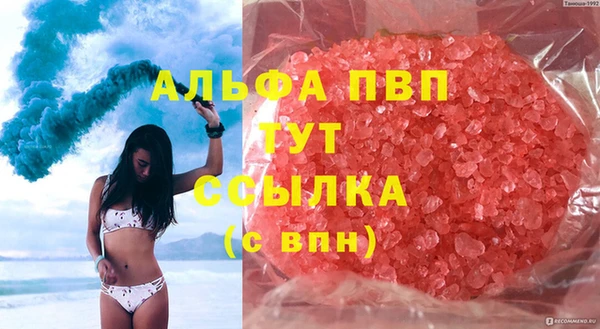 стафф Алзамай