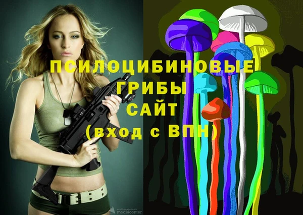 прущие грибы Абаза