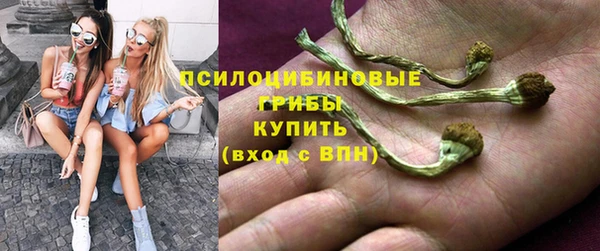 спиды Алексеевка