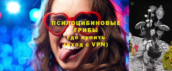 ПСИЛОЦИБИНОВЫЕ ГРИБЫ Алексин