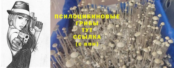 ПСИЛОЦИБИНОВЫЕ ГРИБЫ Алексин
