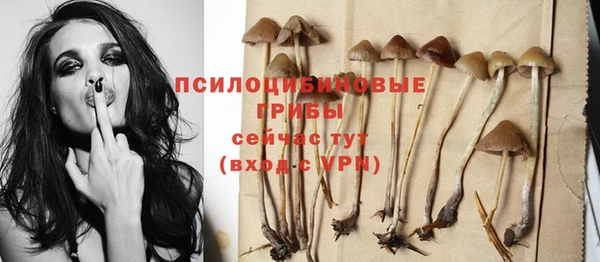 ПСИЛОЦИБИНОВЫЕ ГРИБЫ Алексин