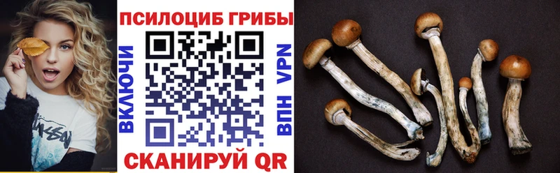 Псилоцибиновые грибы Magic Shrooms  сколько стоит  Среднеколымск 